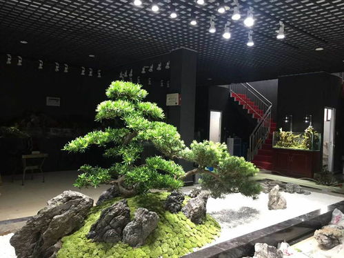 長沙枯山水室內(nèi)外景觀制作案例賞析——湖南綠蟻人庭院設計